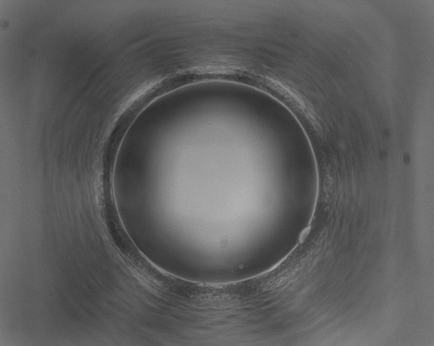 X0000051240535200506241524