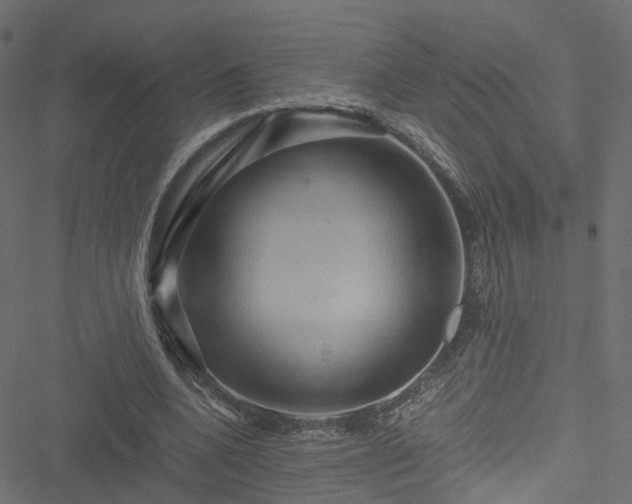 X0000051240536200506241524