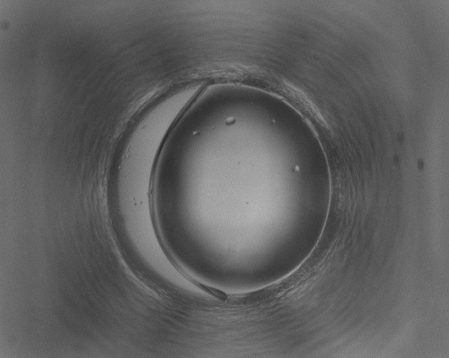 X0000051240538200506241524