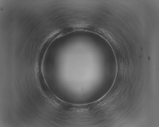 X0000051240539200506241524