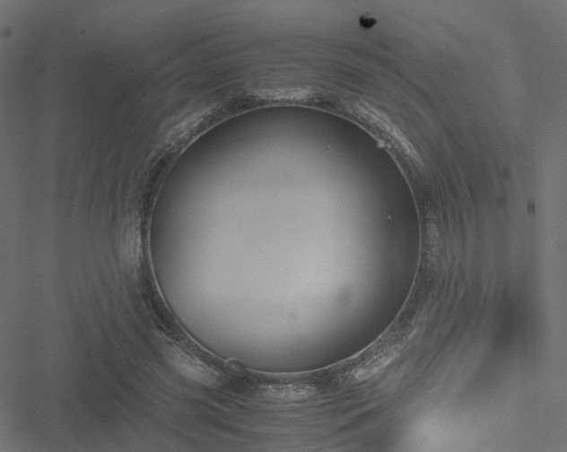 X0000051240541200506241524