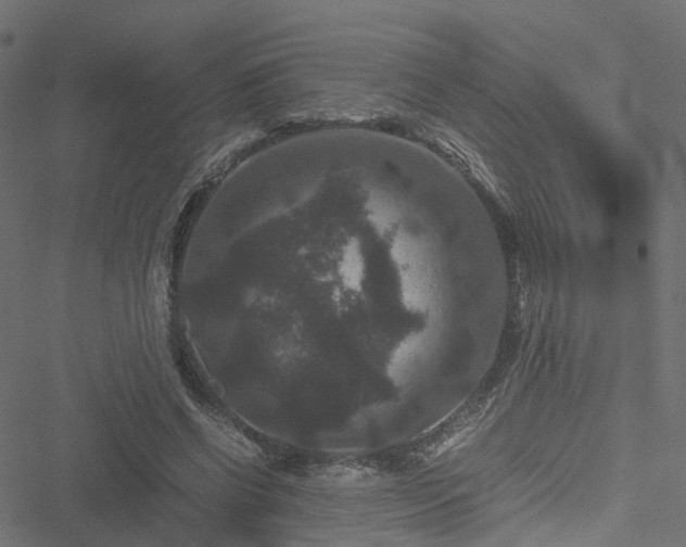 X0000051240542200506241524