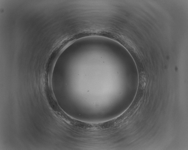 X0000051240544200506241524