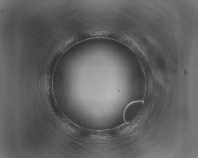 X0000051240545200506241524