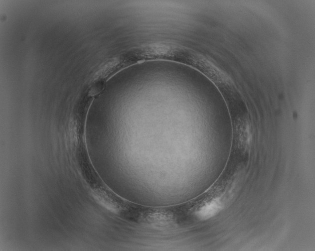 X0000051240546200506241524