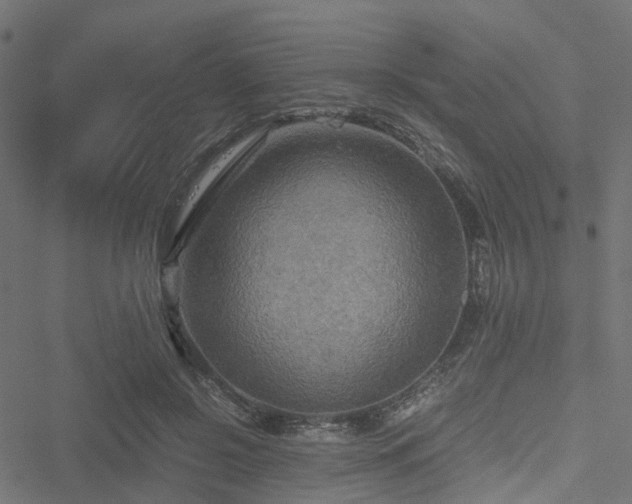 X0000051240550200506241524