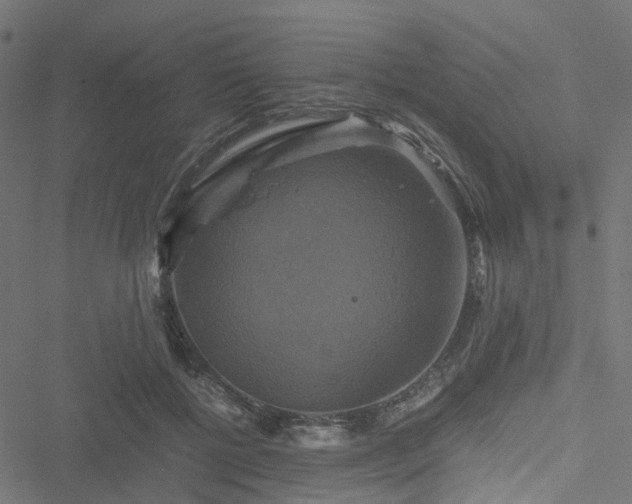 X0000051240552200506241524