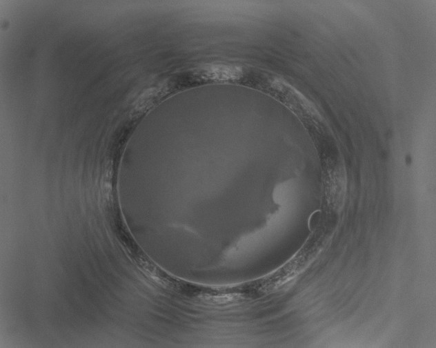 X0000051240553200506241524