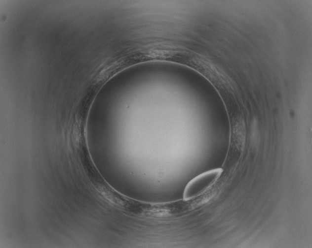 X0000051240554200506241524