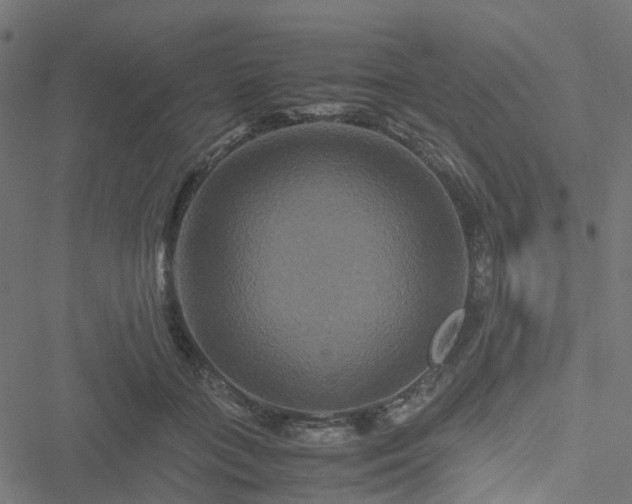 X0000051240555200506241524