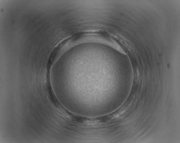 X0000051240556200506241524