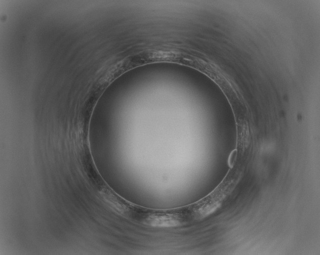 X0000051240557200506241524