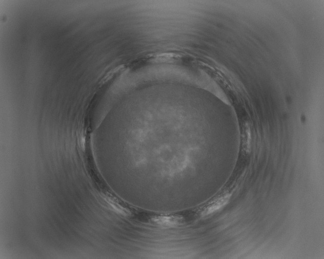 X0000051240558200506241524