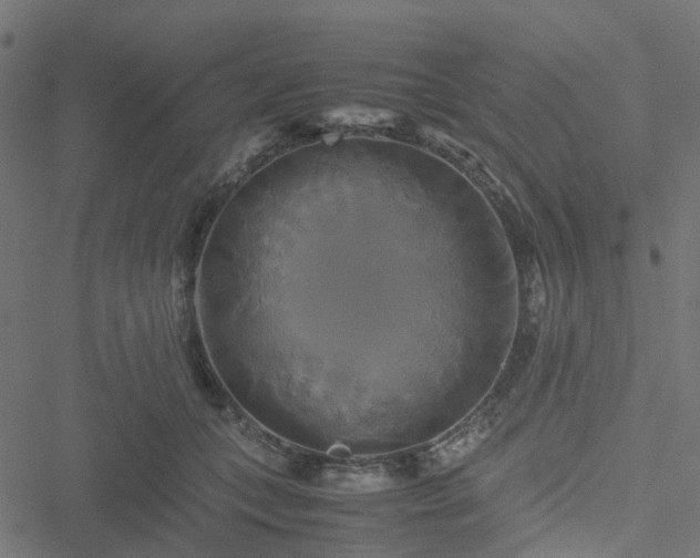 X0000051240559200506241524