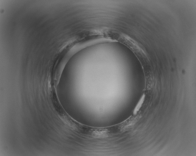 X0000051240560200506241524