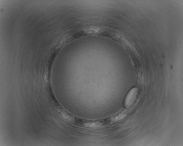 X0000051240561200506241524