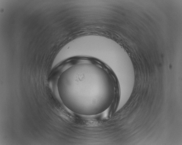 X0000051240562200506241524