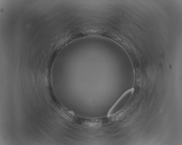 X0000051240563200506241524