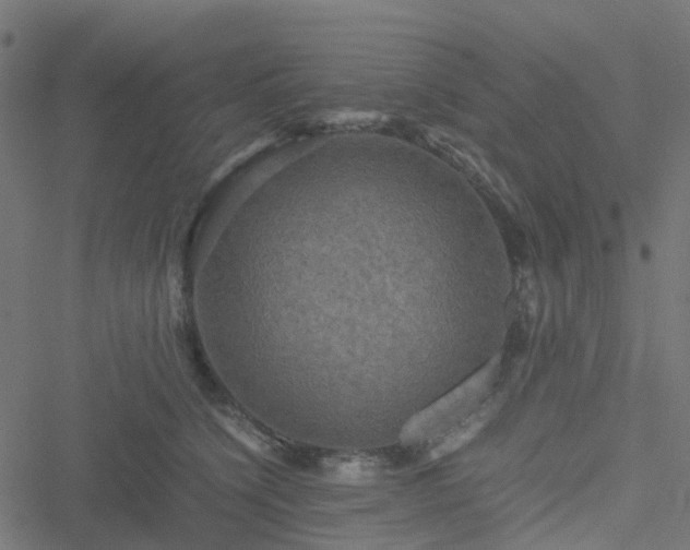 X0000051240564200506241524