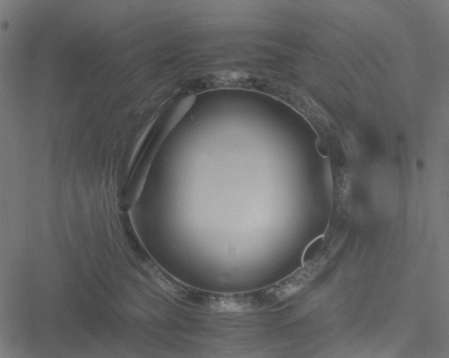 X0000051240565200506241524