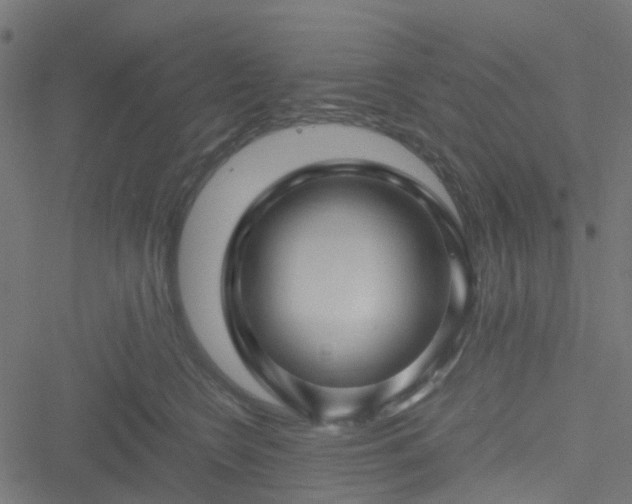 X0000051240566200506241524