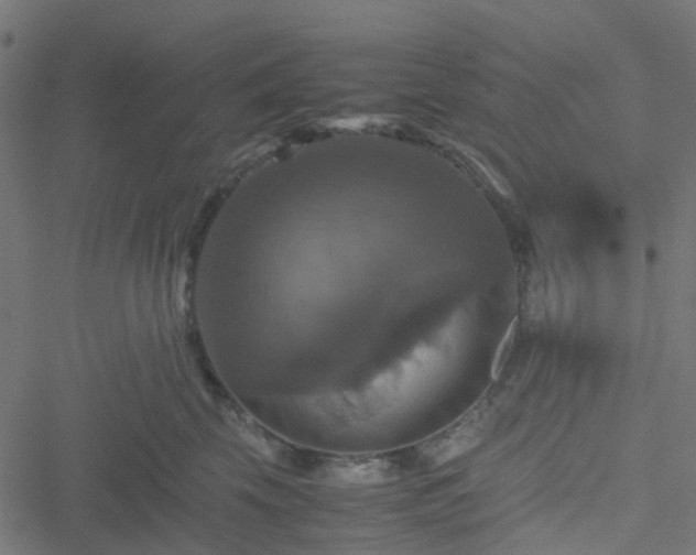 X0000051240569200506241524