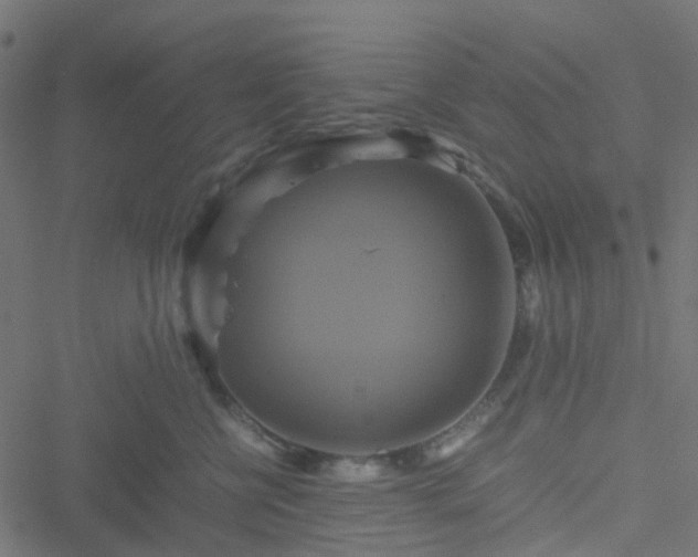 X0000051240570200506241524