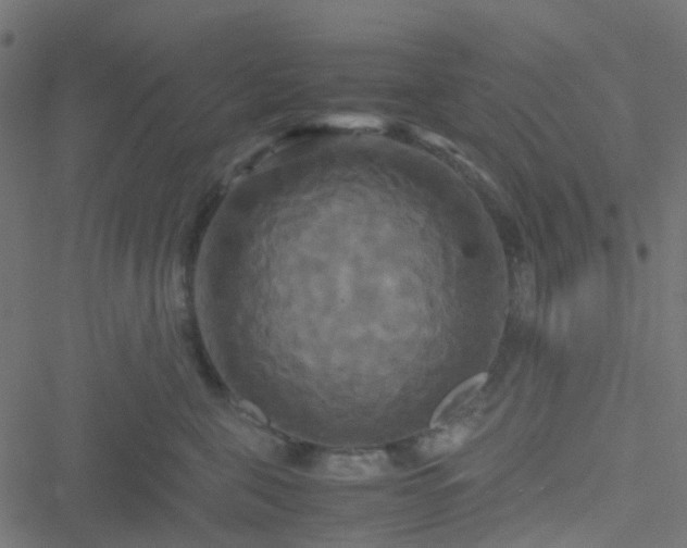 X0000051240571200506241524