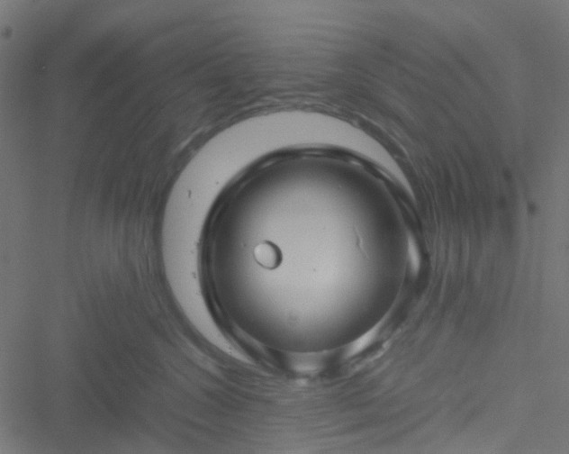 X0000051240572200506241524