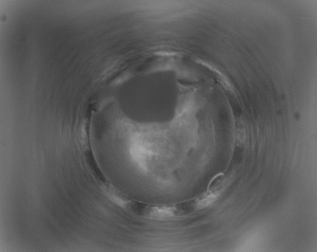 X0000051240573200506241524