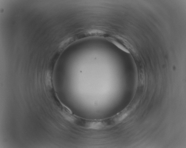 X0000051240575200506241524