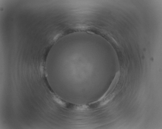 X0000051240576200506241524