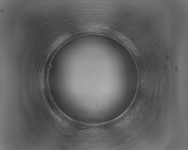 X0000051240578200506241523