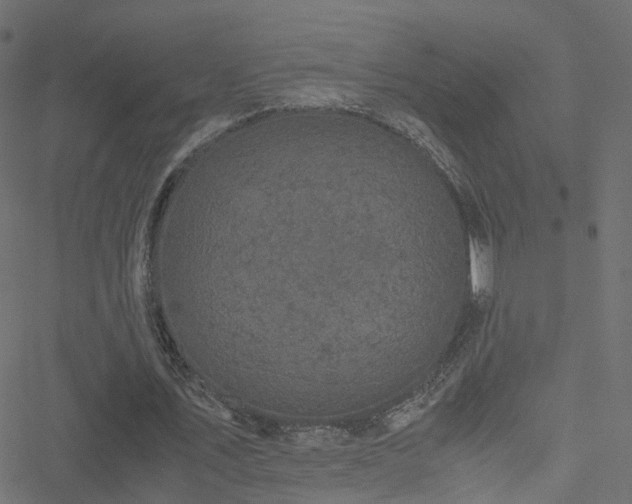 X0000051240579200506241523