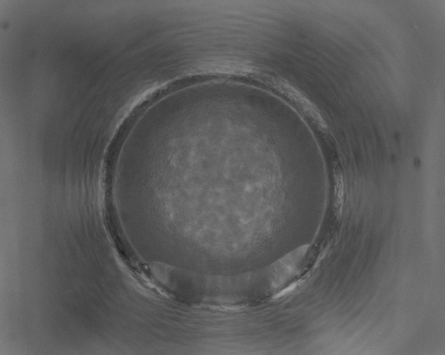 X0000051240580200506241523