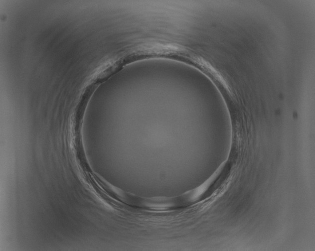 X0000051240581200506241523