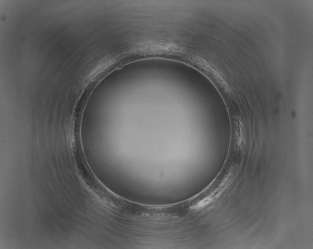 X0000051240582200506241523