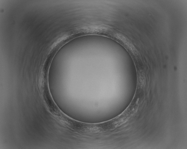 X0000051240583200506241523