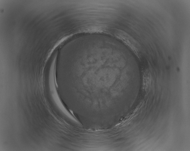 X0000051240584200506241523