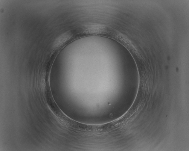 X0000051240586200506241523