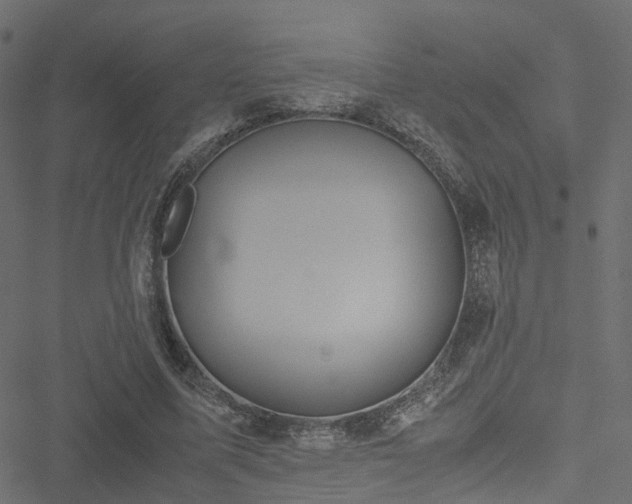 X0000051240587200506241523