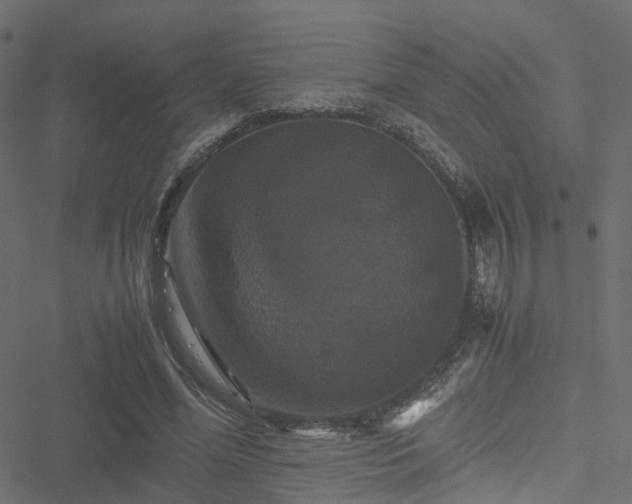 X0000051240588200506241523