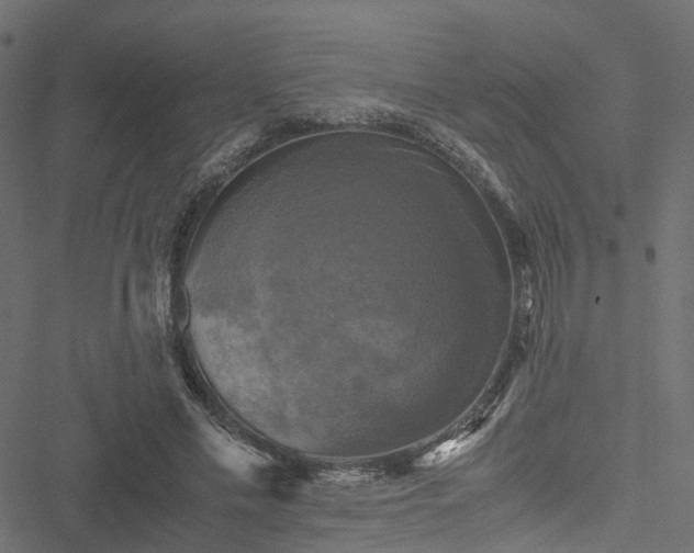 X0000051240589200506241523