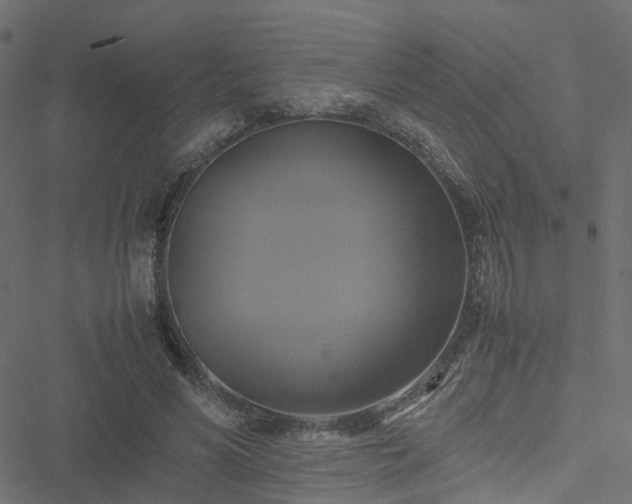 X0000051240590200506241523