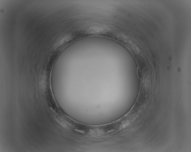 X0000051240591200506241523