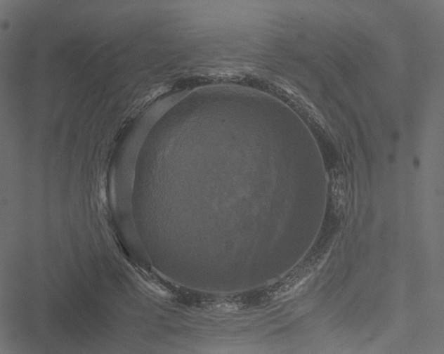 X0000051240593200506241523