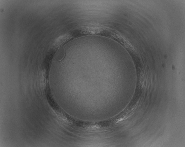 X0000051240594200506241523