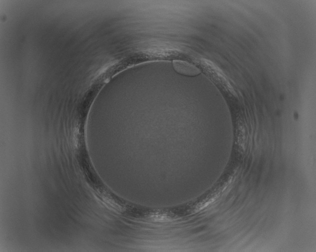 X0000051240596200506241523