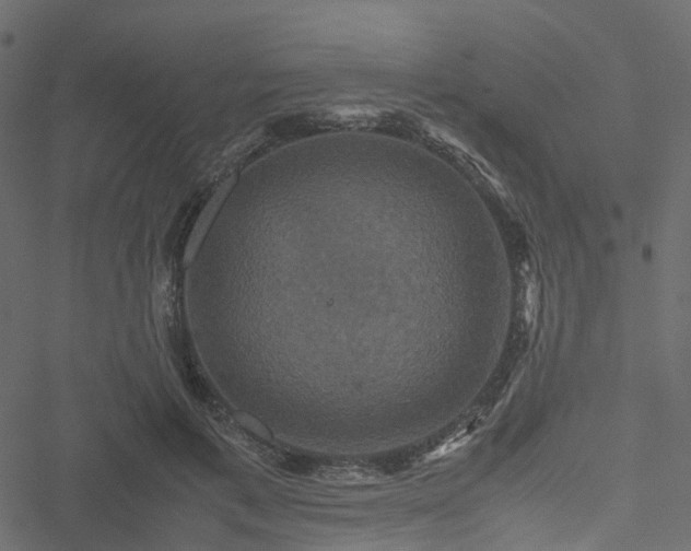 X0000051240597200506241523