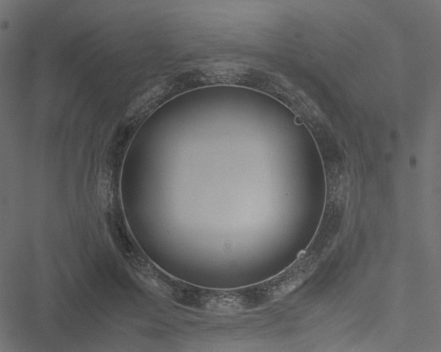 X0000051240599200506241523